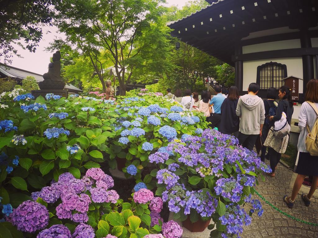 Iza Kamakura Guest House And Bar Luaran gambar